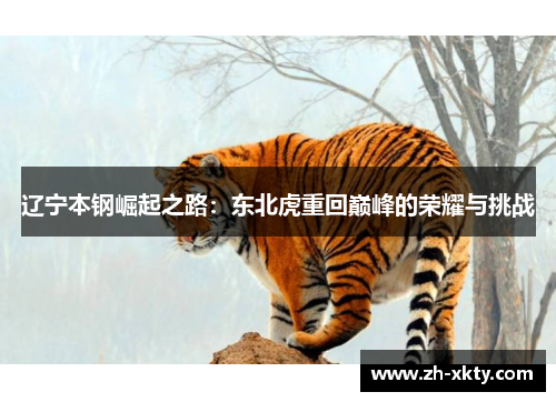 辽宁本钢崛起之路：东北虎重回巅峰的荣耀与挑战